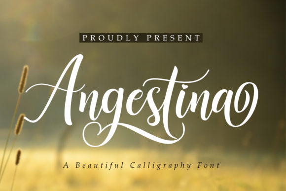 Angestina Script Handwritten Fonts for Elegant Designs