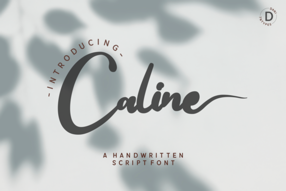 Caline Brushed Handwritten Font Review for Brand Identity