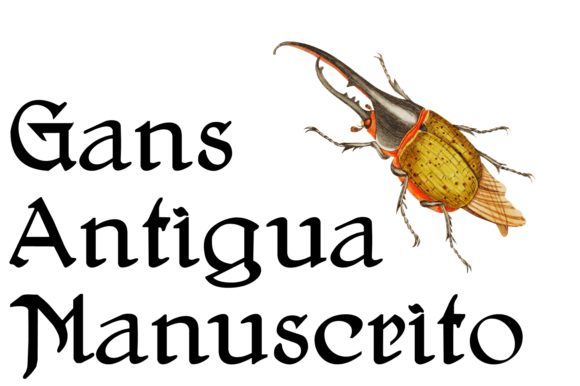Gans Antigua Manuscrito: A Timeless Script Font for Elegant Branding