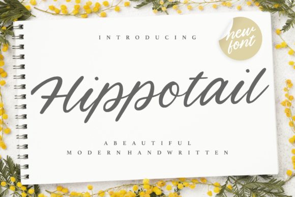 Hippotail: A Timeless Script Handwritten Font for Elegant Branding