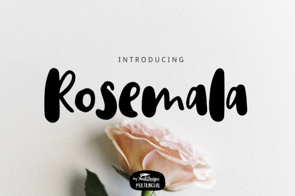 How Rosemala Transforms Informal Campaign Visuals