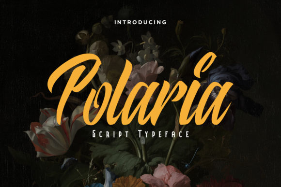 Polaria: A Bold Script Handwritten Typeface for Editorial Design