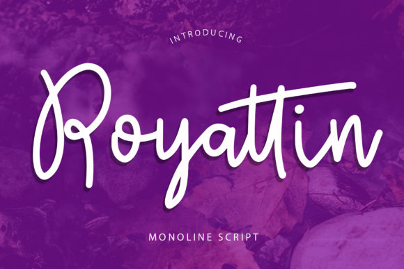 Royattin: A Neat Handwritten Script Font for Modern Web Design