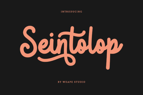 Seintolop: A Charming Script Handwritten Font for Elegant Web Design